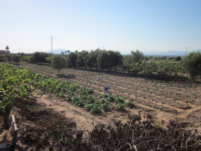 Image No.15-3 Bed Country Property for sale