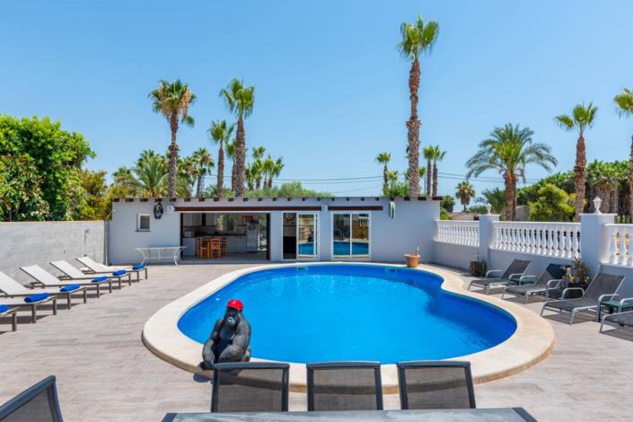 Image No.15-Villa de 4 chambres à vendre à Catral