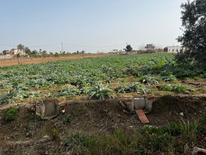 Image No.6-Maison de campagne à vendre à Catral