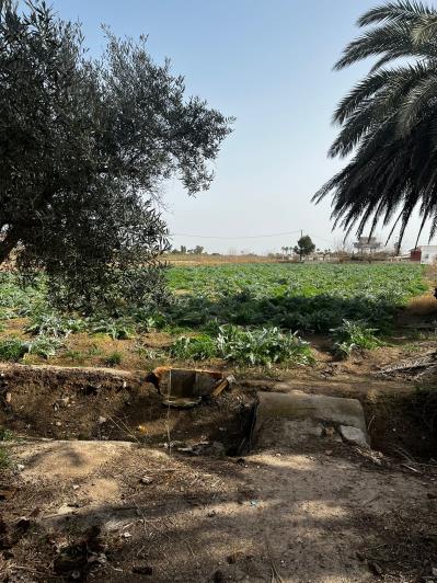 Image No.8-Maison de campagne à vendre à Catral