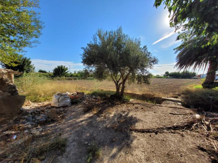 Image No.11-Maison de campagne à vendre à Catral