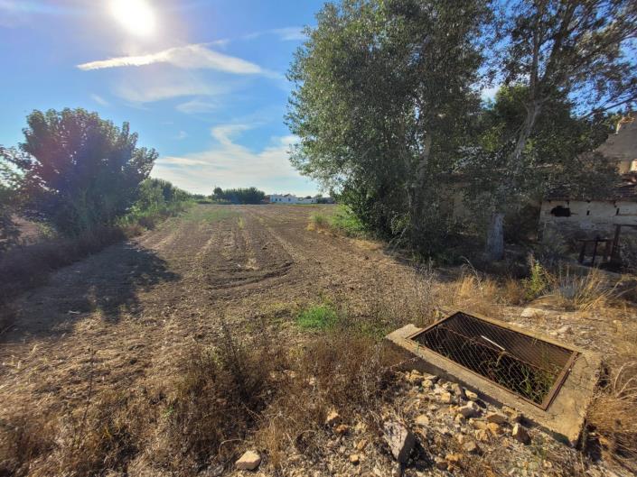 Image No.3-Maison de campagne à vendre à Catral