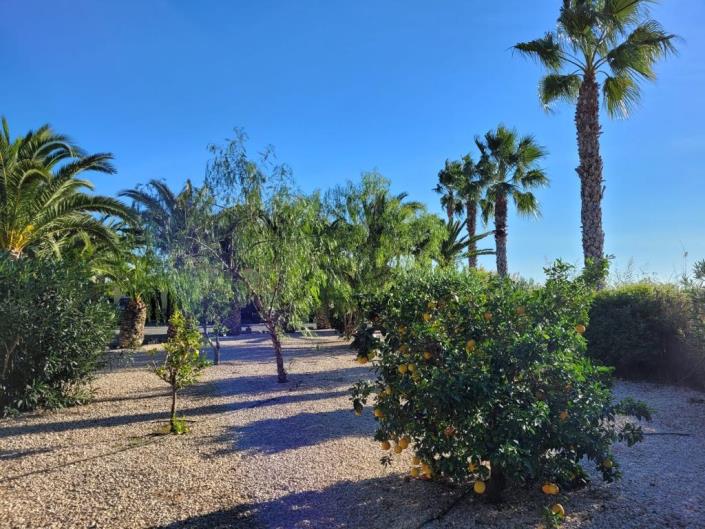 Image No.7-Villa de 5 chambres à vendre à Catral