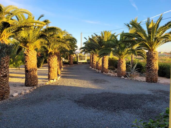 Image No.10-Villa de 5 chambres à vendre à Catral