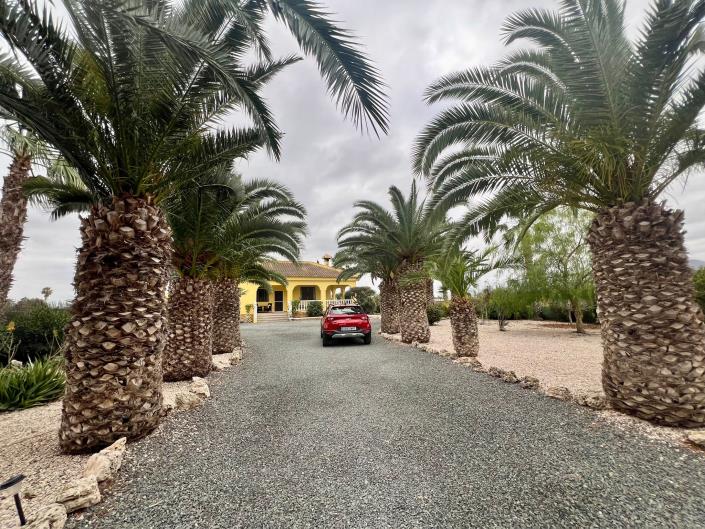 Image No.44-Villa de 5 chambres à vendre à Catral