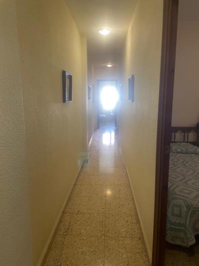 Image No.3-Appartement de 3 chambres à vendre à Almoradí