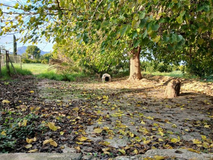 Image No.2-Villa de 2 chambres à vendre à Benejúzar