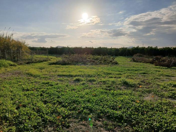 Image No.3-Villa de 2 chambres à vendre à Benejúzar
