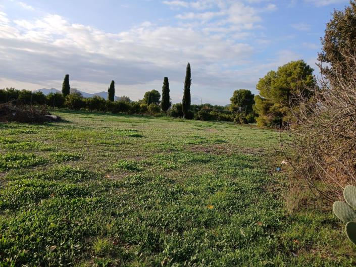 Image No.4-Villa de 2 chambres à vendre à Benejúzar