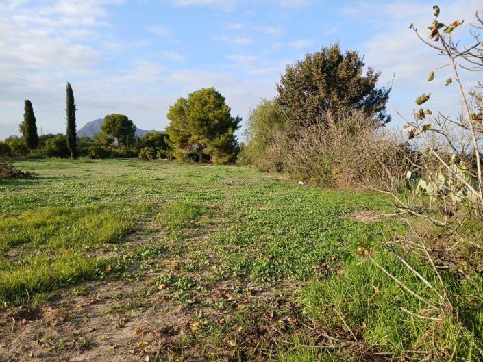 Image No.5-Villa de 2 chambres à vendre à Benejúzar