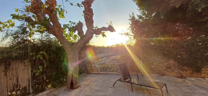 Image No.9-Villa de 2 chambres à vendre à Benejúzar