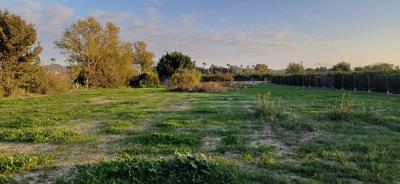 IMG-20250314-WA0010