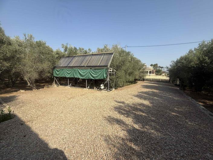 Image No.27-Maison de campagne de 3 chambres à vendre à Catral