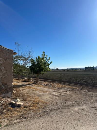 Image No.6-Finca for sale