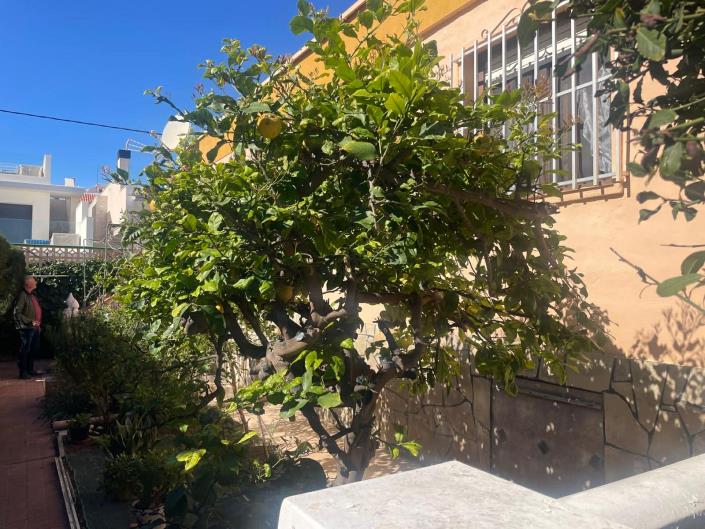 Image No.15-3 Bed Quad for sale