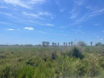 IMG-20260519-WA0017