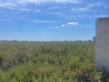 IMG-20260519-WA0020