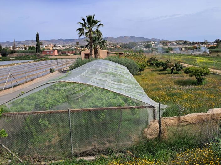 Image No.2-Maison de campagne de 2 chambres à vendre à Cuevas del Almanzora