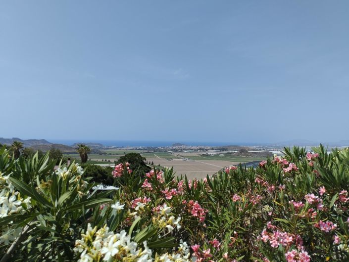 Image No.1-4 Bed Cortijo for sale