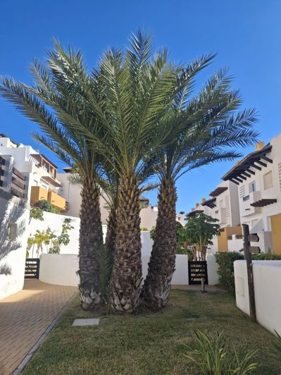 Image No.25-2 Bed Penthouse for sale