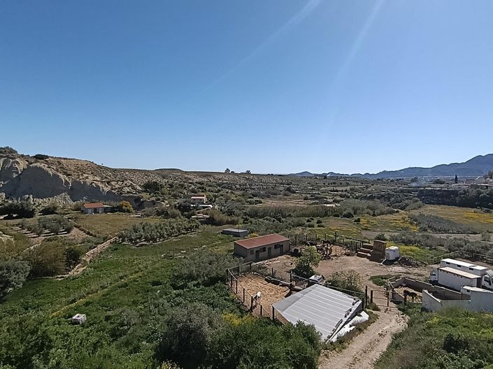 Los Gallardos, Penthouse