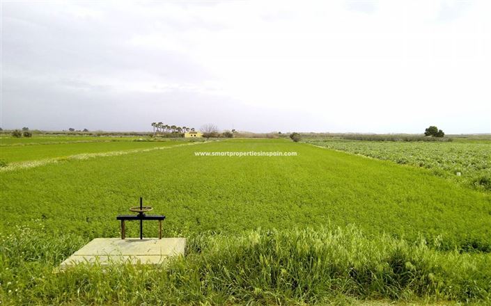 Image No.3-Plot for sale