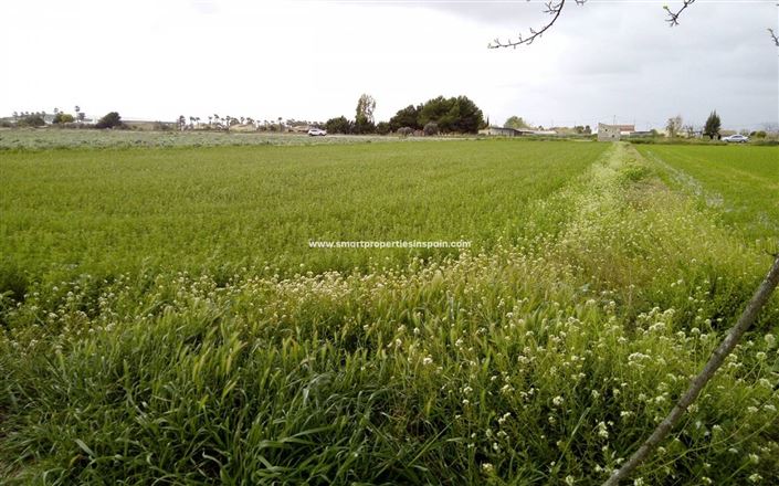 Image No.5-Plot for sale