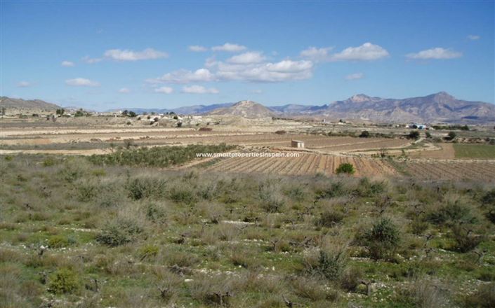 Image No.2-Plot for sale