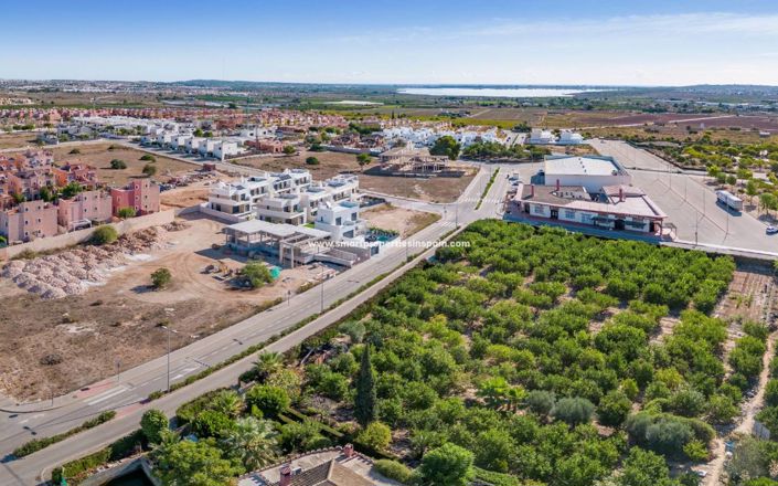 Image No.4-Villa de 3 chambres à vendre à Benijofar