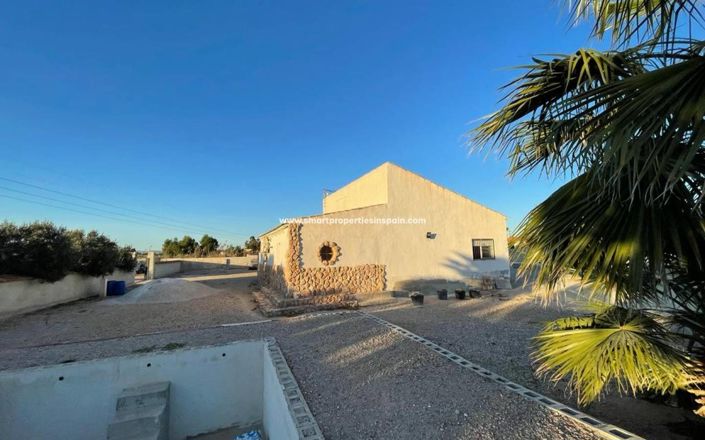 Image No.21-Maison de campagne de 4 chambres à vendre à Elche