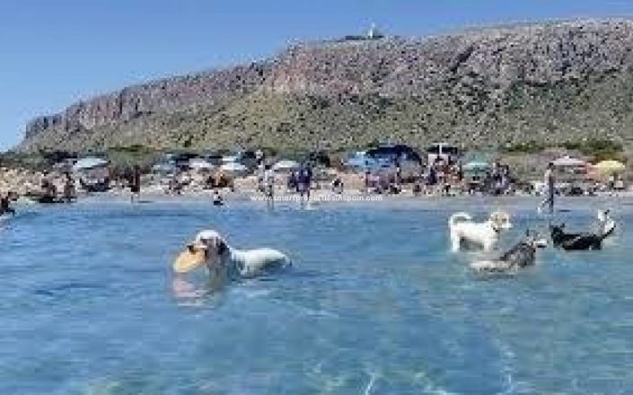 Image No.28-3 Bed Apartment for sale