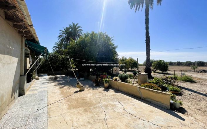 Image No.19-Maison de campagne de 3 chambres à vendre à Elche