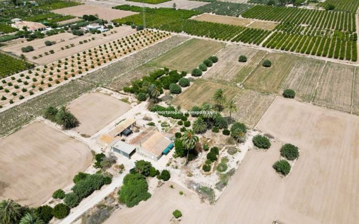 Image No.22-Maison de campagne de 3 chambres à vendre à Elche