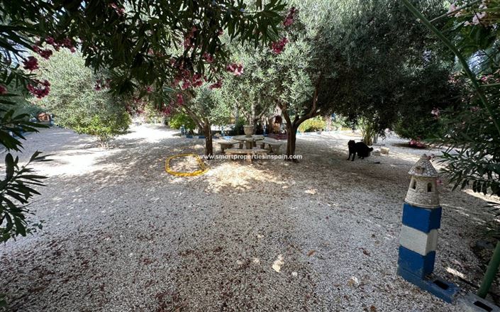 Image No.19-3 Bed Country House for sale