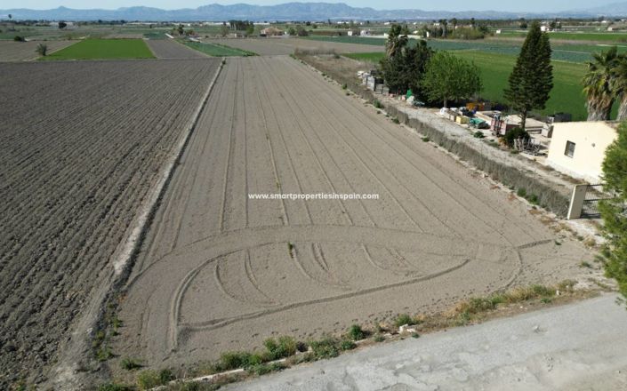Image No.1-Terrain à vendre à San Fulgencio