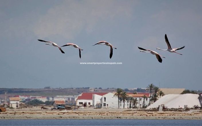 Image No.22-1 Bed Commercial for sale