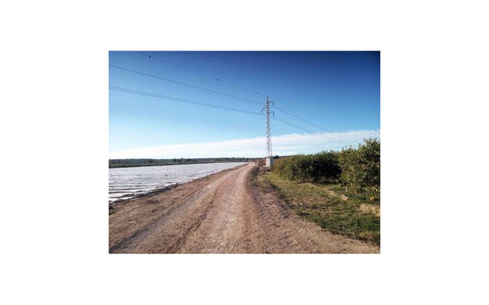 Image No.2-Plot for sale