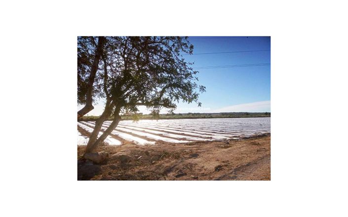 Image No.4-Plot for sale