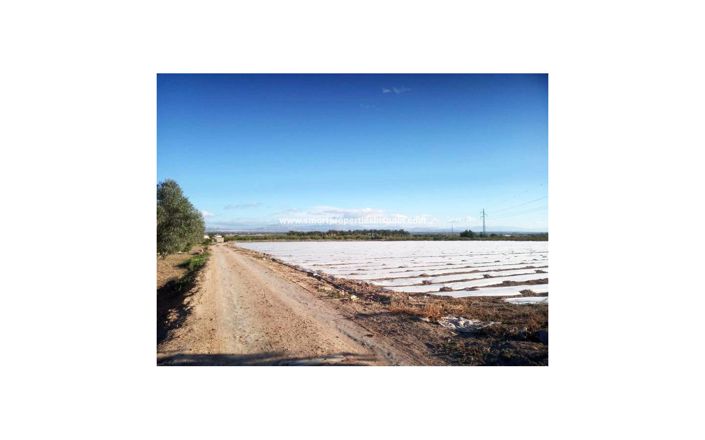 Image No.6-Plot for sale