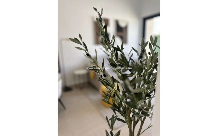 Image No.19-2 Bed Apartment for sale