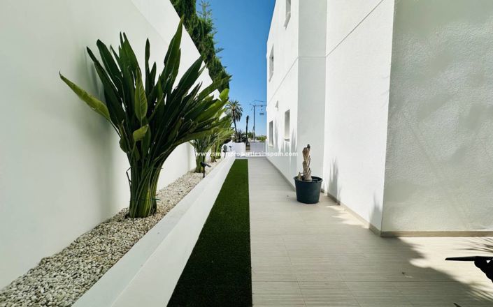 Image No.34-3 Bed Villa for sale