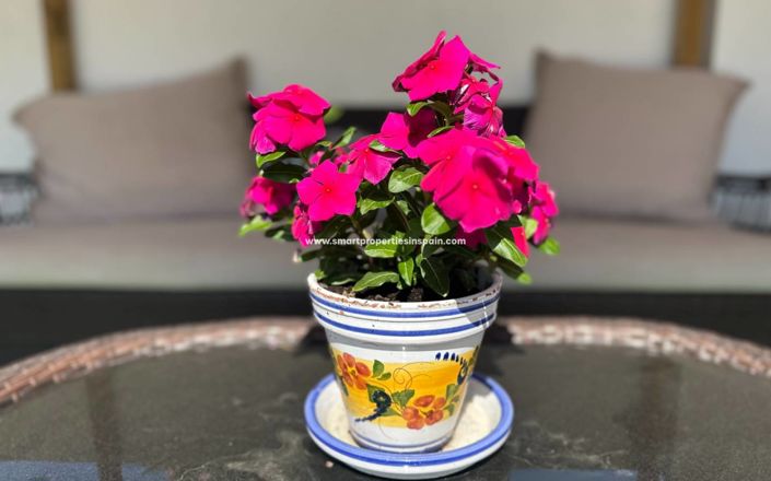 Image No.48-Villa de 5 chambres à vendre à La Marina