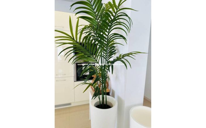 Image No.37-Villa de 3 chambres à vendre à La Marina