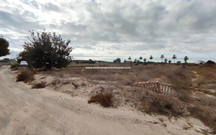 Image No.2-Terrain à vendre à Elche