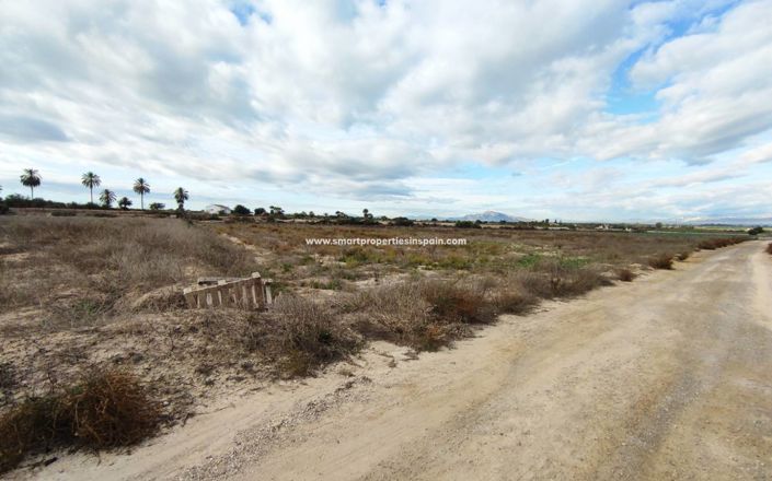 Image No.3-Terrain à vendre à Elche