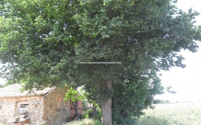 Image No.6-Plot for sale