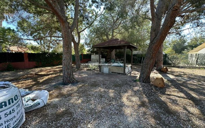 Image No.24-Maison de campagne de 4 chambres à vendre à Elche