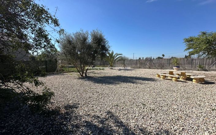 Image No.27-Maison de campagne de 4 chambres à vendre à Elche