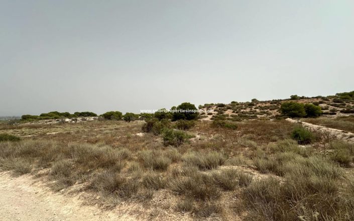 Image No.6-Plot for sale