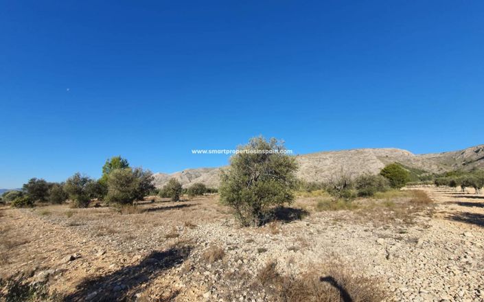 Image No.12-Plot for sale